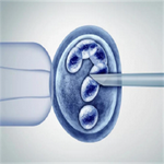 选择合适的试管婴儿医院:专业技术与个性化服务