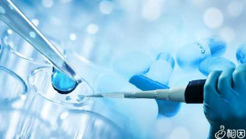 沈阳市优质助孕机构盘点：助您圆梦家庭