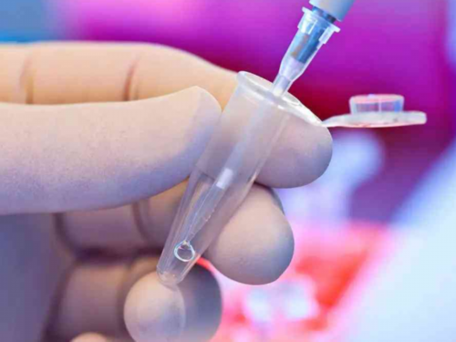 沈阳医大二院：详细地址、院区分布及辅助生殖领域的技术优势