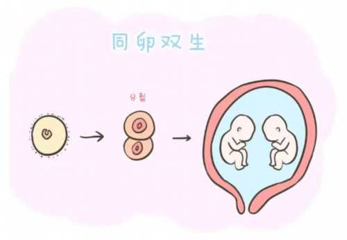 探索沈阳辅助生殖技术：生育女儿的趋势与考量