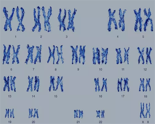 沈阳助孕中心-沈阳辅助生殖中心