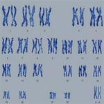 沈阳助孕中心-沈阳辅助生殖中心
