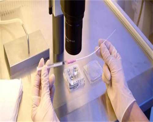 沈阳武警总医院官网(沈阳武警医院)