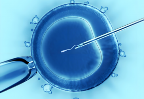 沈阳试管婴儿成功率(沈阳试管婴儿)