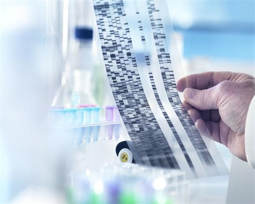 沈阳本地助孕机构的详细解读