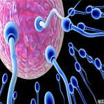 A套餐-揭秘小沈阳的妻子身份与真实姓名