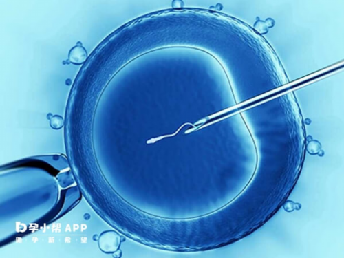 探寻沈阳助孕与辅助生殖的费用奥秘