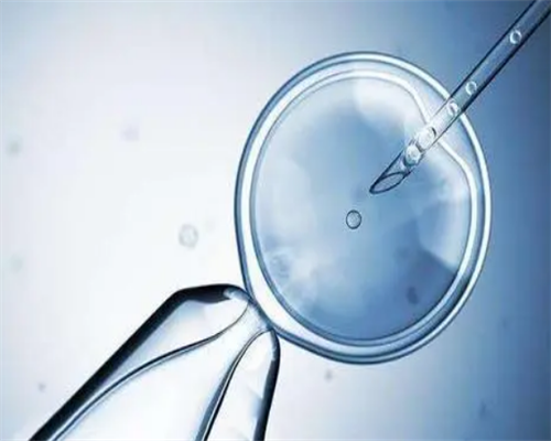 沈阳菁华医院与沈阳市妇婴医院：辅助生殖技术对比分析