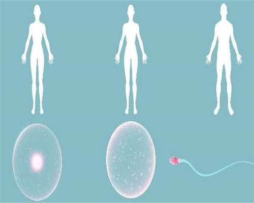 沈阳菁华医院（沈阳盛京医院）_1