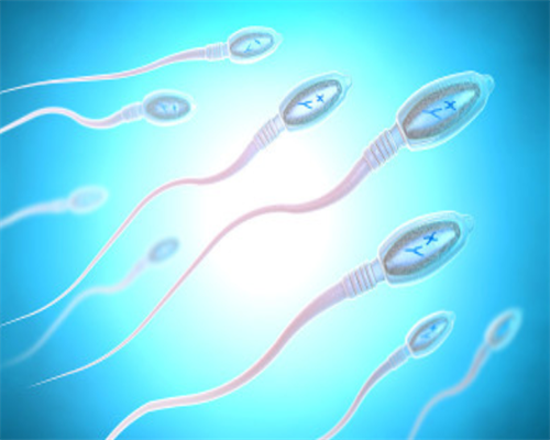 沈阳单身女性如何实现生育梦想？了解试管助孕全攻略