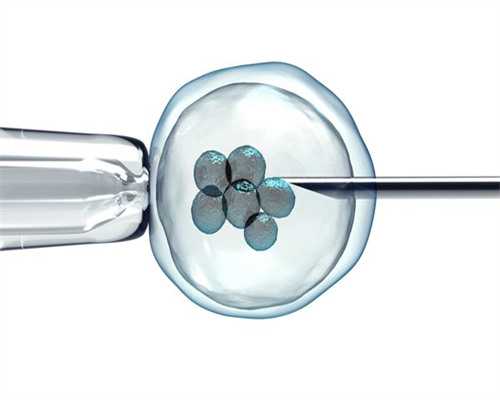 沈阳助孕指南：沈阳同性恋群体试管助孕服务详解