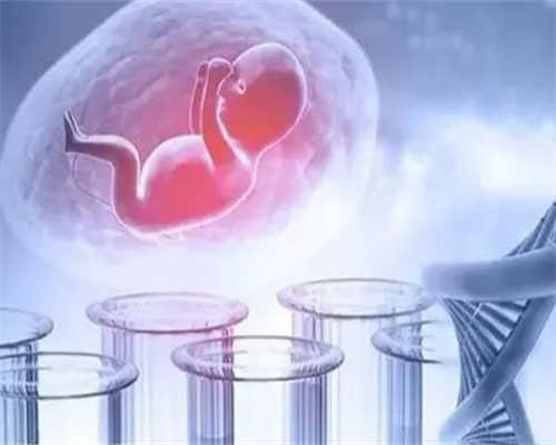 沈阳试管婴儿：解析促排卵、胚胎冷冻与成功孕育