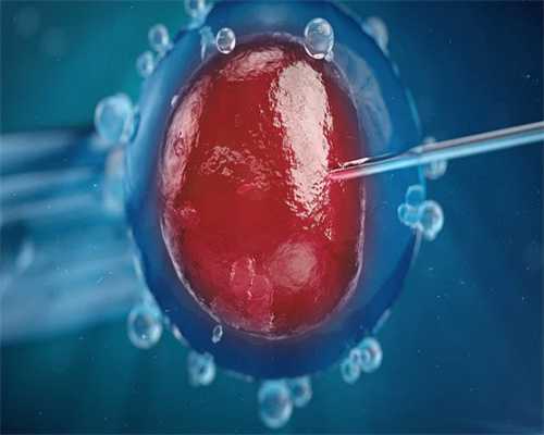 探秘沈阳助孕：生育新希望的费用与流程